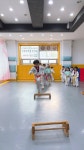 용인대동부태권도