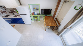 해돋이가자애견펜션