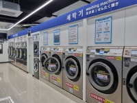 워시큐 강원지사