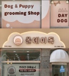 올데이독