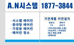 A.N 시스템