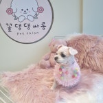 꽃댕댕싸롱