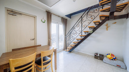 해돋이가자애견펜션