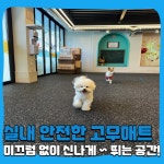 해피멍데이 애견카페