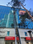 옥돌사다리차스카이차