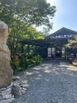 포레스트541