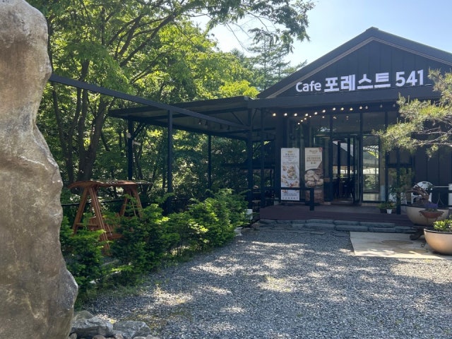포레스트541