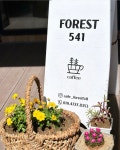 포레스트541