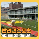 해피멍데이 강아지유치원 애견유치원