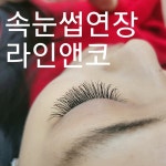 라인앤코
