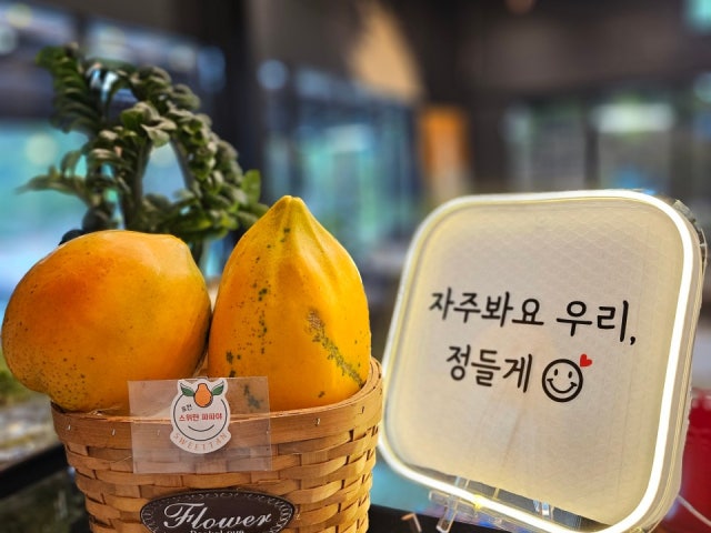 베네치아