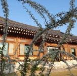 연꽃인연