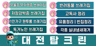 대전 탑크린