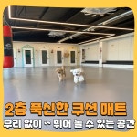 해피멍데이 강아지유치원 애견유치원