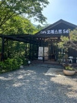 포레스트541