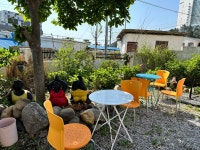 꽃담은강문을담다