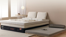 디에스티생명과학