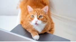 24시 더블리스 동물의료센터