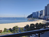 루프탑스카이 치킨