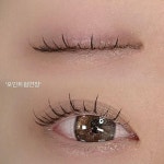 브로우제니아르 양주옥정점