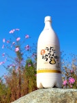 영농조합법인 합천막걸리