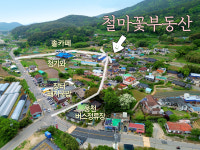 철마꽃부동산중개