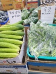 매일야채랑