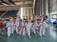 용인대백운태권도