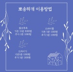 뽀송하개