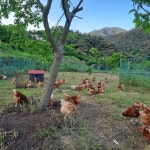 지리산백운농장