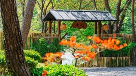블루문펜션