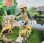 노블키즈