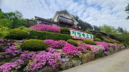 정선 자연속으로 펜션