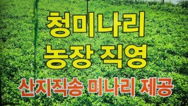 신사교자냉삼
