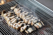 백마강참숯민물장어 판교점