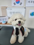 주주개린이집 소형견반