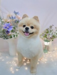 몽뚜루