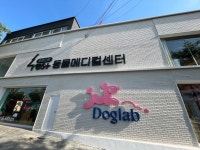 도그랩