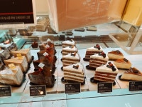 투썸플레이스 하양광장메디컬점