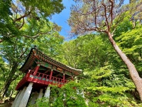 옥경부인