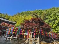 옥경부인