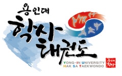 용인대학사태권도