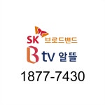 SK 티브로드 한빛방송 새한정보통신