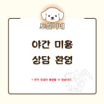 토실이네