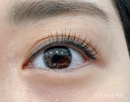 비비뷰티