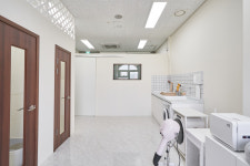 고양이미용&호텔 우아캣