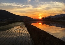 달품게스트하우스