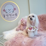 꽃댕댕싸롱