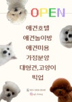 숭구리댕댕