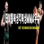타이틀복싱킥복싱MMA우슈